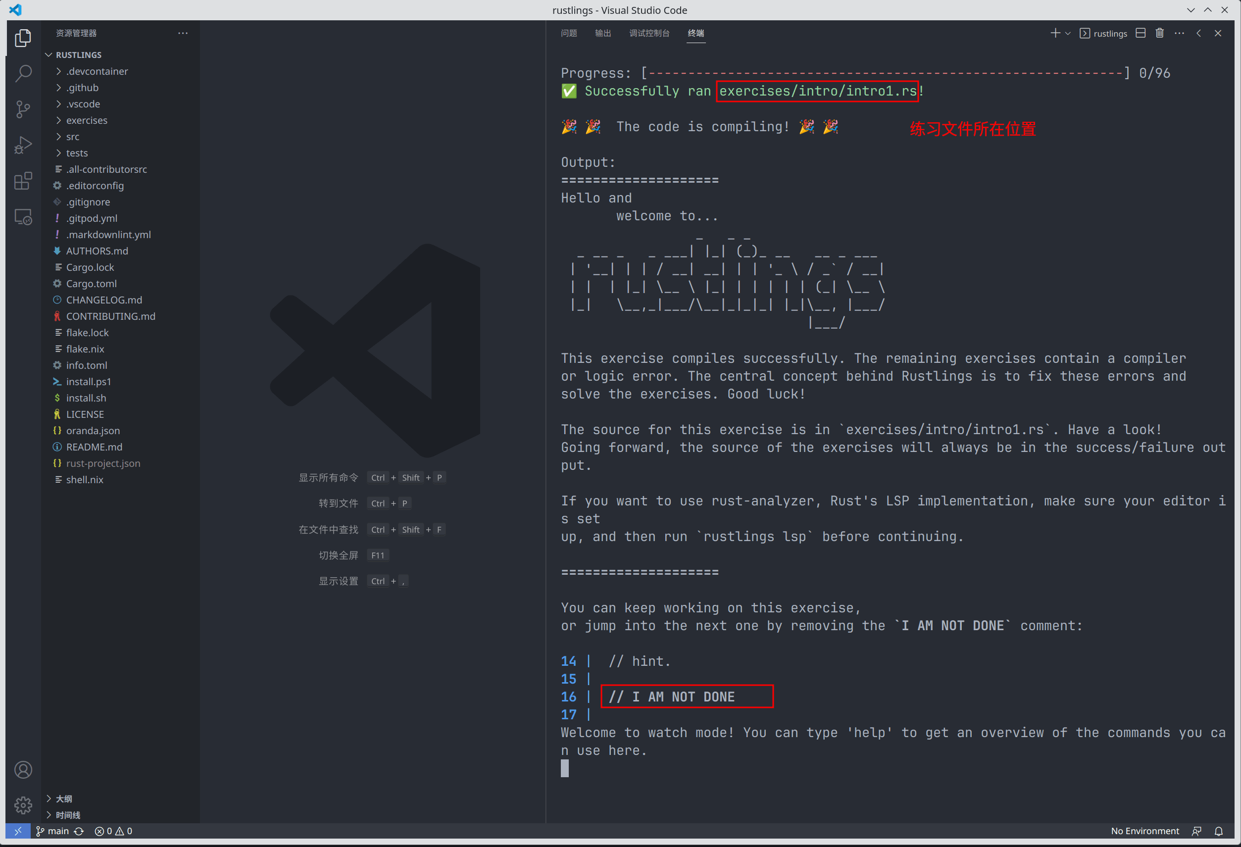 rustlings-watch